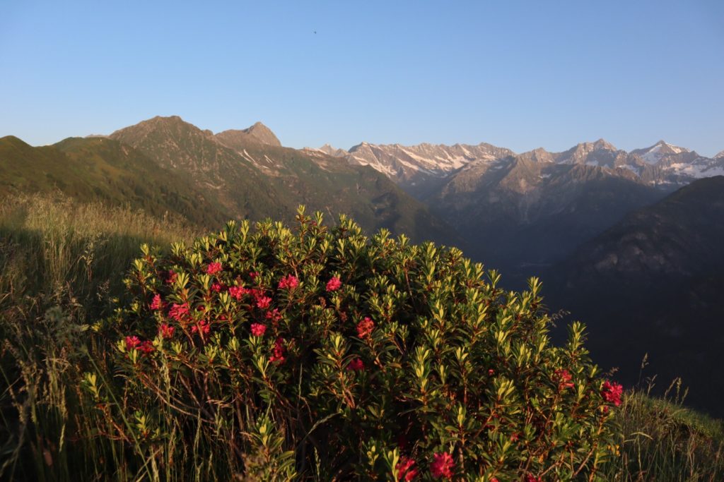 5. Etappe 28. Juni 2019: Alpe del Lago – Campello Monti
