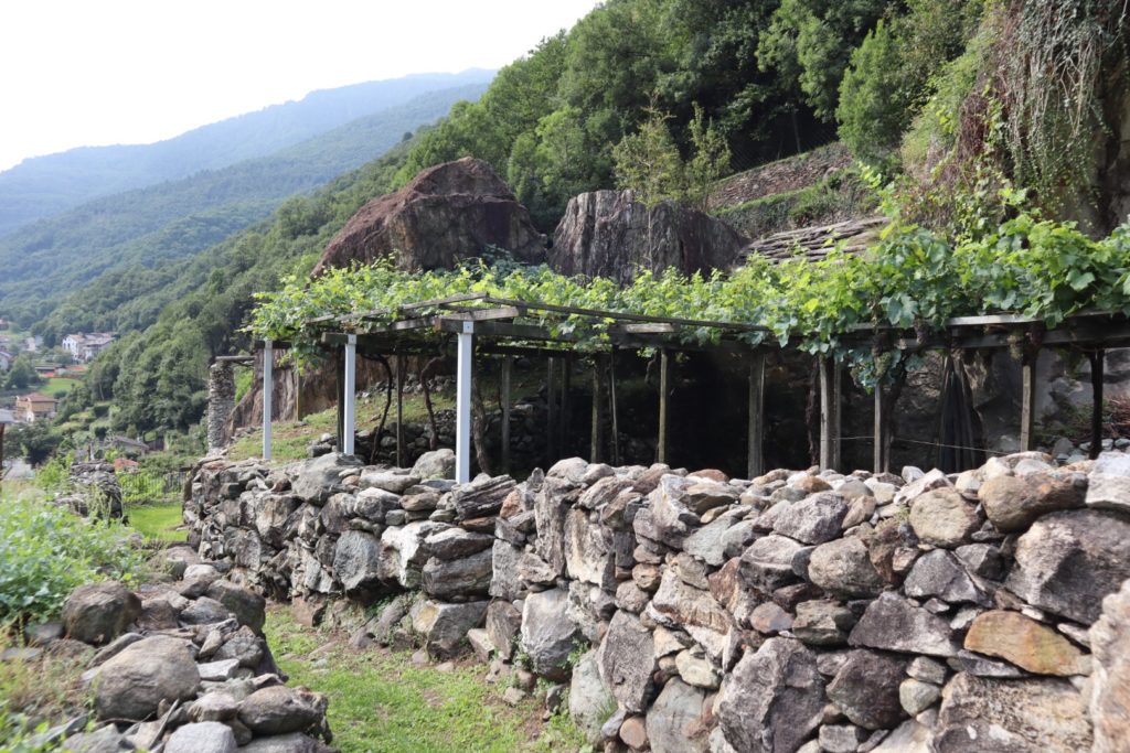 15. Etappe 31. August 2019: Quincinetto – Le Capanne