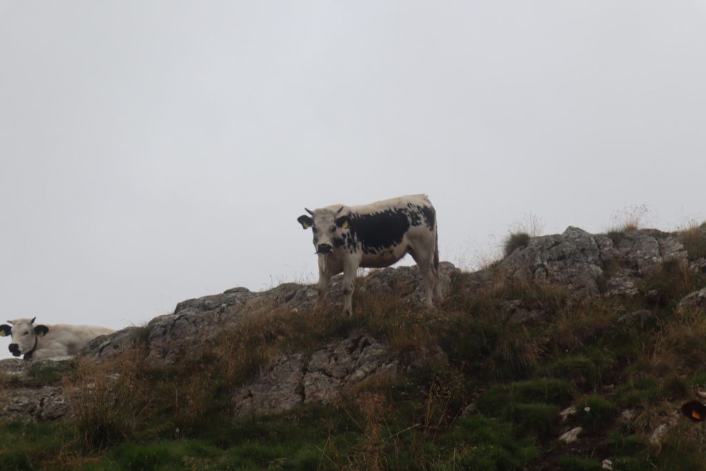 19. Etappe 4. September 2019: Valprato Soana – Talosio