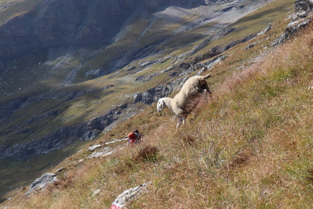 26. Etappe 12. September 2019: Usseglio – Rifugio Cà d‘Asti