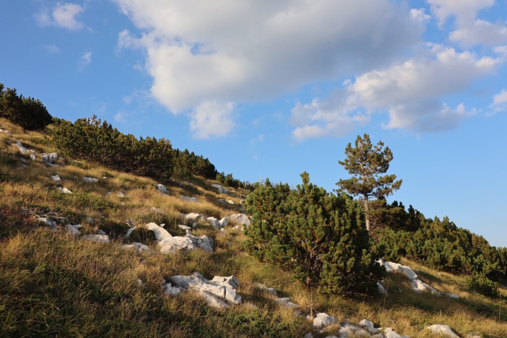 Via Dinarica Bosnien-Herzegowina # 7: Kamensko – Blidinje-See 18. – 20. September 2020