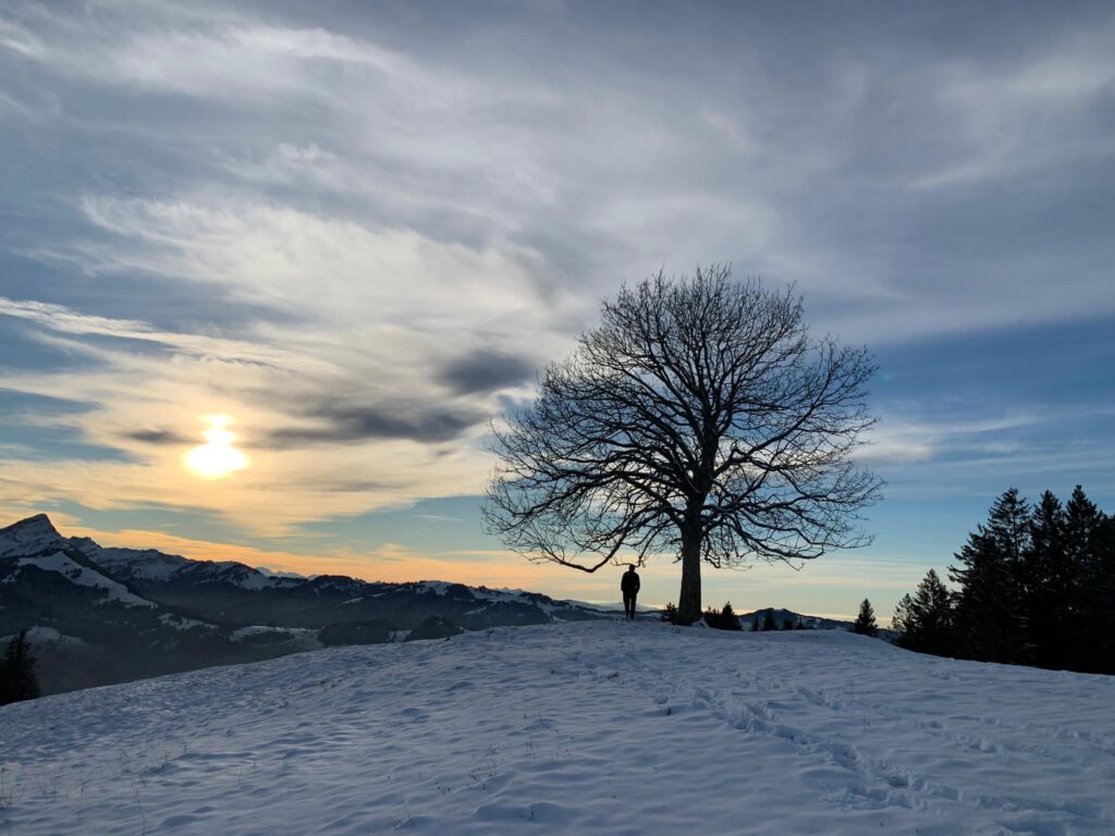 Zwischenwelten Winter 2021