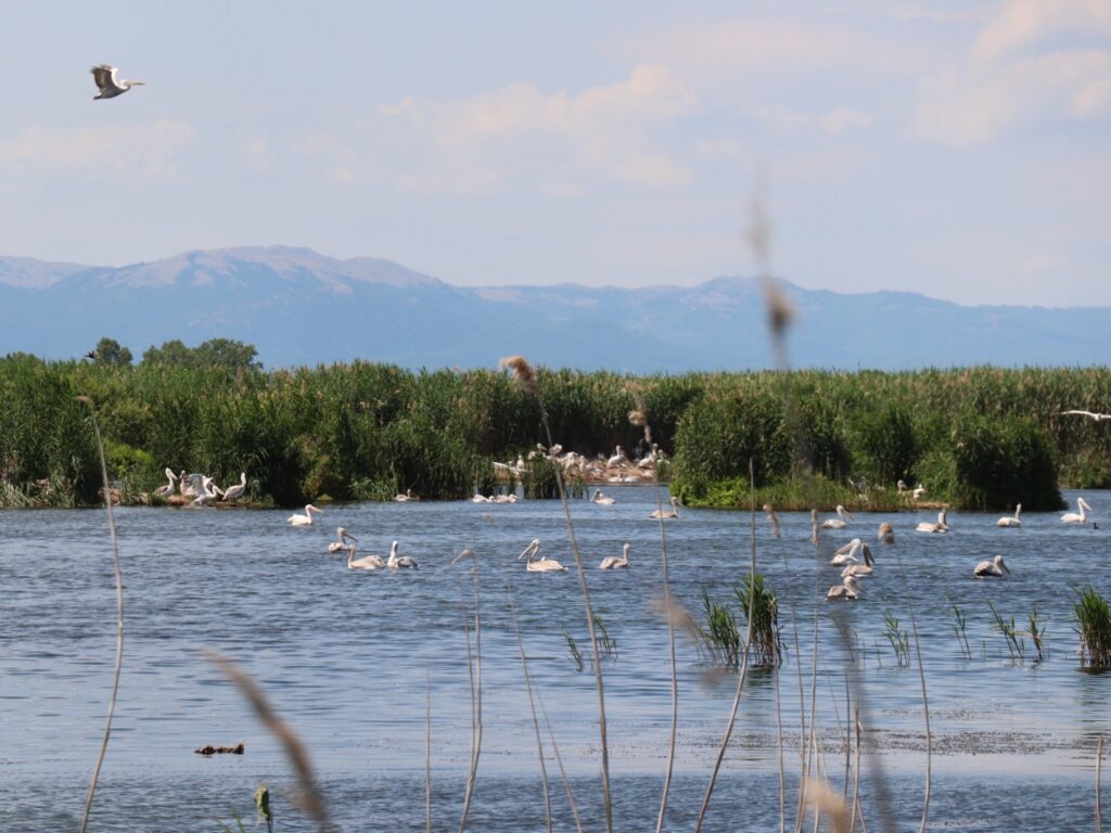 Nestorio – Agios Germanos: zur Nordmazedonischen Grenze 1. – 5. Juli 2021 (68 km / 1600 HM)