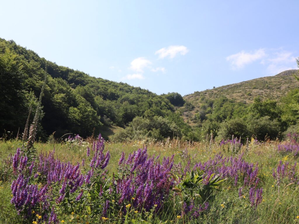 Kurz vor Gari – Mavrovo: Mazedonische Traversale durch den Mavrovo Nationalpark 21. – 24. Juli 2021 (52 km / 2510 HM)