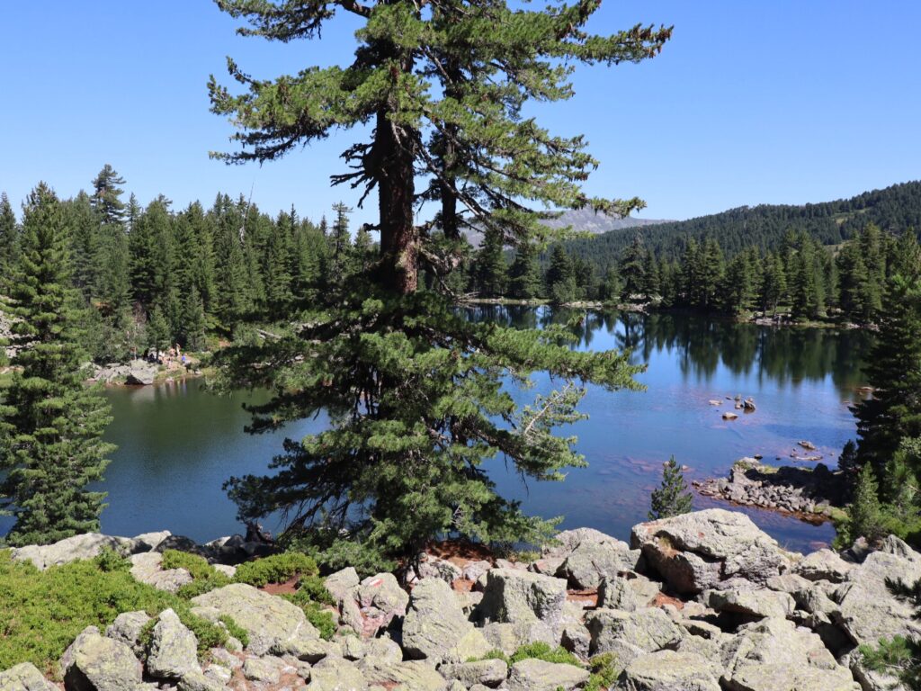 Babino Polje – Theth Okoli: 2. Teil Peaks of the Balkans 8. – 12. August 2021 (89 km / 3860 HM)